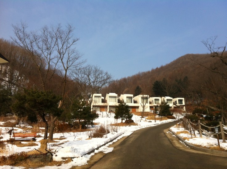 mua dong