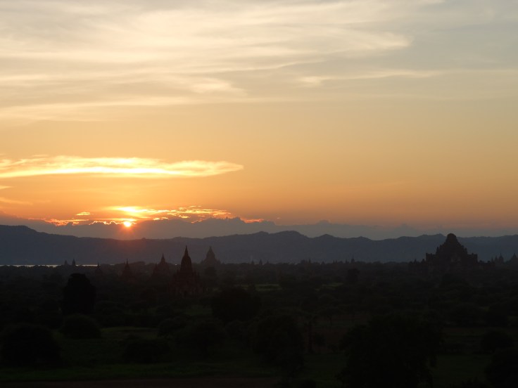 DSCF8388