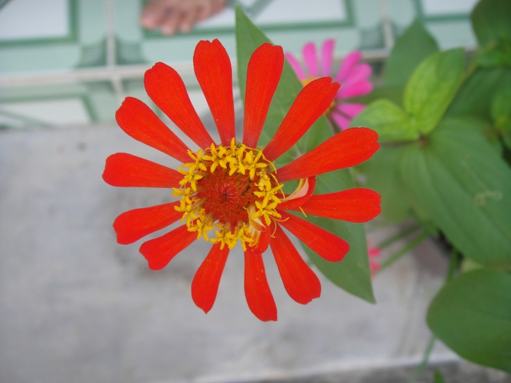 DSC00175