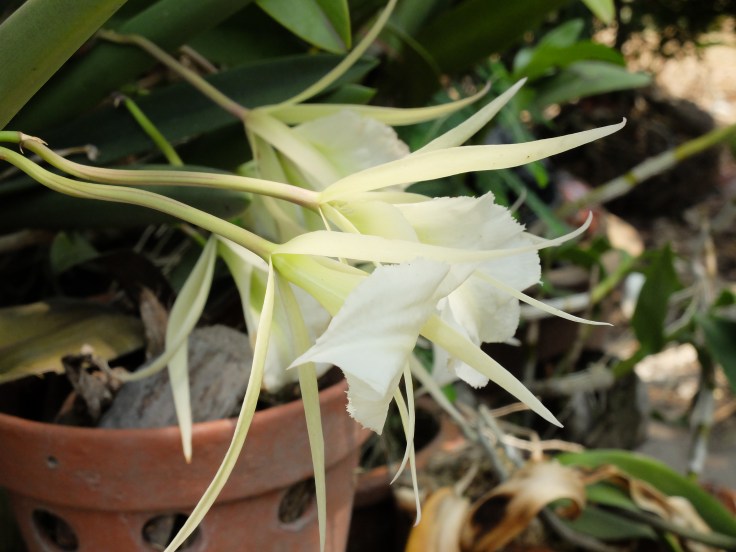 DSCF0025