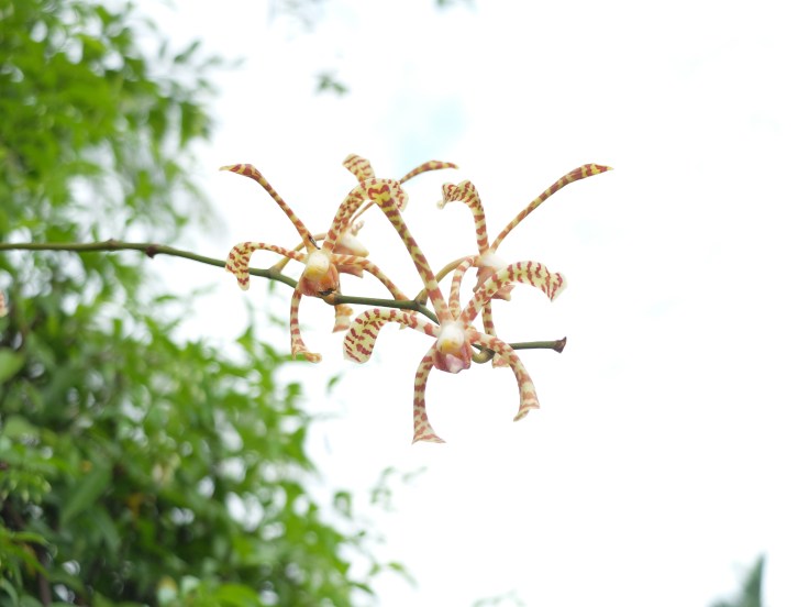 DSCF1627